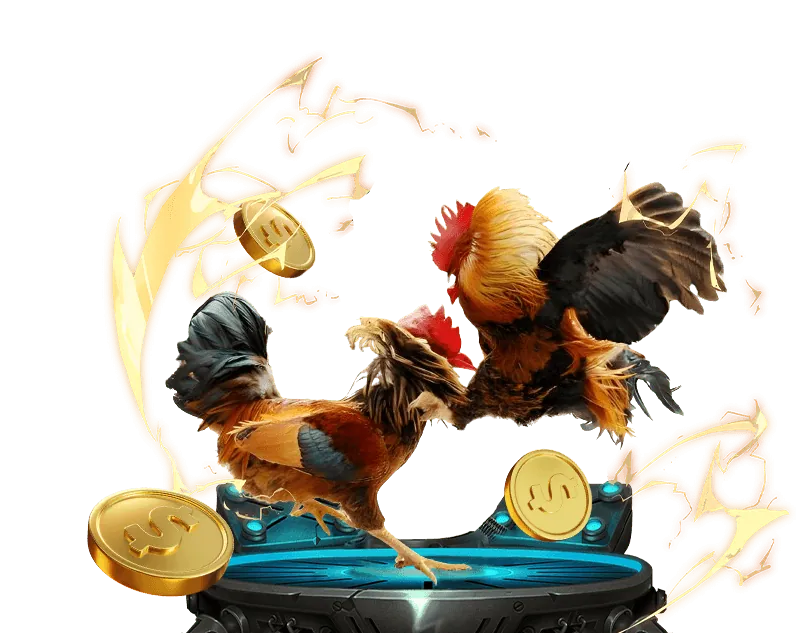 Tỷ lệ cược cao và thanh toán nhanh chóng